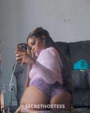 Star 22Yrs Old Escort New Orleans LA Image - 2