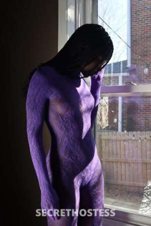 Kocoa 26Yrs Old Escort Omaha NE Image - 2