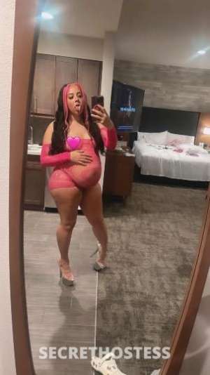 Pregnant fantasy🧚♀🦄💦read ad in Minot ND