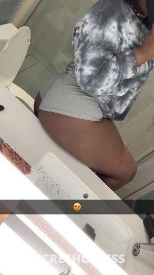 Stormy 21Yrs Old Escort Des Moines IA Image - 1