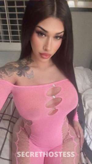 ♥young♥new in the area🔥 all positions🔥bbj☺anal in Bakersfield CA