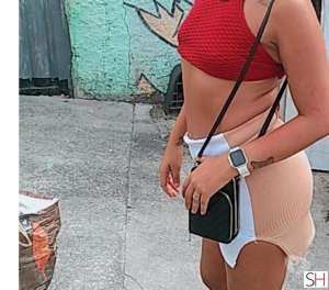 25 year old White Escort in Sao Joao De Meriti Rio de Janeiro Nifeta fogosa experiente