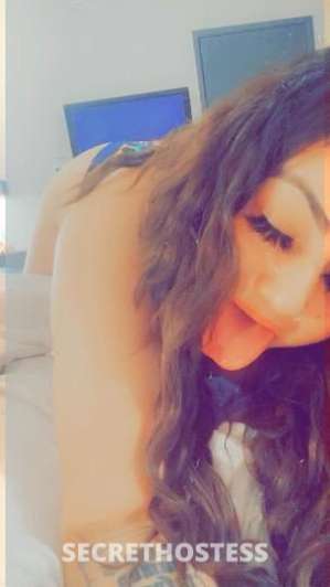 Lola 25Yrs Old Escort Long Beach CA Image - 3