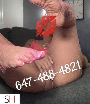 23Yrs Old Escort Thunder Bay Image - 10