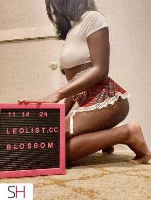 Blossom 21Yrs Old Escort Hamilton Image - 1