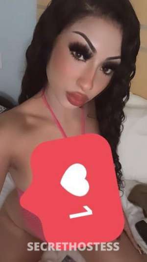 Gentlemens top choice A1 Service 24 hours7 days F ck me  in Westchester NY