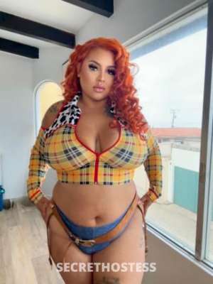 Sofie 26Yrs Old Escort Hartford CT Image - 6
