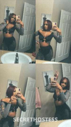 Nyla 20Yrs Old Escort Houston TX Image - 0