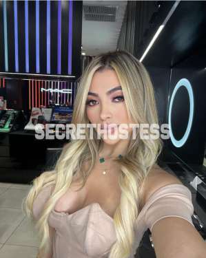 26Yrs Old Caucasian Escort blonde brown Eyes 54KG 165CM Tall Chicago IL in Chicago IL