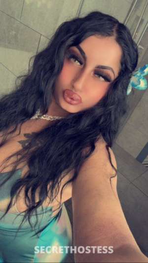 25 year old Indian Escort in Washington D.C. DC Your Sexy, Indian, Erotic Fantasy Has Finally Arrived To The