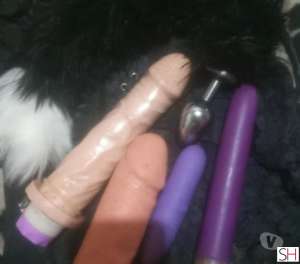 35 year old White Escort in Guaiba Rio Grande do Sul Acompanhante discreta valores e fotos no watts