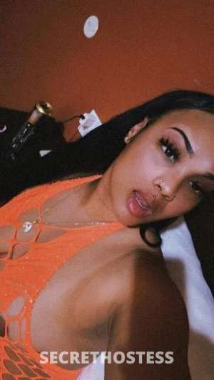 Roxy 23Yrs Old Escort San Diego CA Image - 4