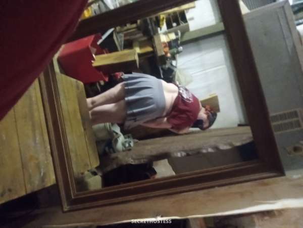 Mechelle 28Yrs Old Escort Size 10 160CM Tall Greenville SC Image - 3