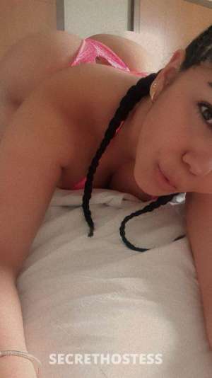 28Yrs Old Escort Sarasota / Bradenton FL Image - 1