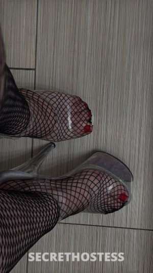 Rose? 23Yrs Old Escort San Jose CA Image - 6