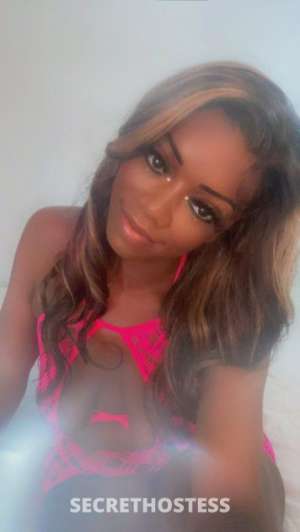 Back in Town the Ebony Stallion Goddess in Washington D.C. DC