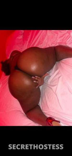 BAE? 23Yrs Old Escort 175CM Tall Miami FL Image - 2