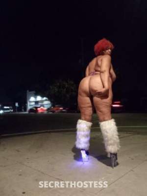 28 year old Escort in Los Angeles CA Specials ?Greek Queen ? Biggest Booty in Town ??Lightskin 