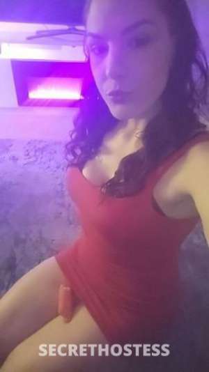 KIMBERLEIGH_ANN 30Yrs Old Escort Tampa FL Image - 5