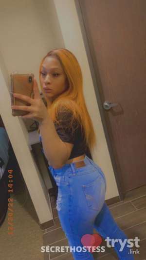 Amina - Top Tier  EXOTIC BEAUTY in Irving TX