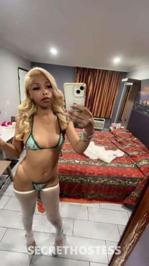 21 year old Asian Escort in San Luis Obispo CA Available now