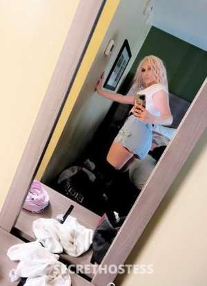 💋Roxie Rebel New 2 aThe Area Ready To Play Call Now in Roseburg OR