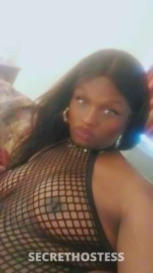 Welcome to the ULTIMATE 🍆💦🍑EXPERIENCE in Springfield MA