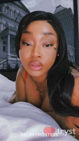Akita Wild - BLASIAN BADDIE in San Buenaventura CA