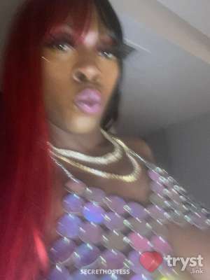 20 year old Escort in Atlanta GA Tasha - 100% REAL -Call 24/7 Hot Babe