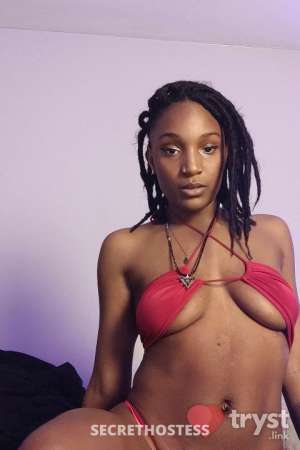 Petra 20Yrs Old Escort New Orleans LA Image - 1