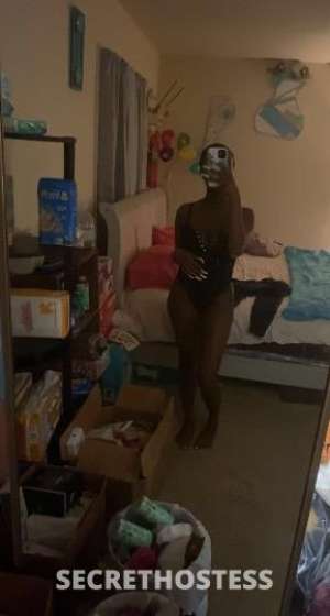 chocolate EXOTIC in Newport News VA