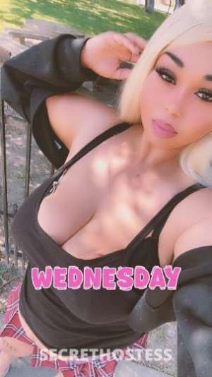28Yrs Old Escort Santa Cruz CA Image - 0