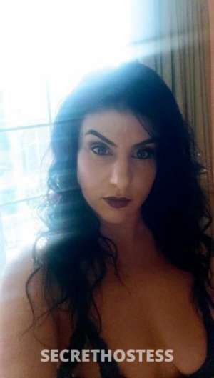 No strings attached fun special rate for hour long appts in North Bay CA
