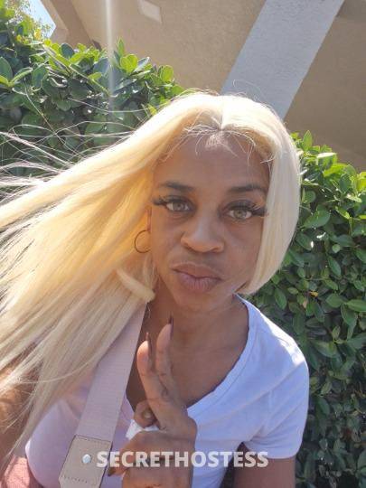 Pleasurabl 36Yrs Old Escort Fort Lauderdale FL Image - 3