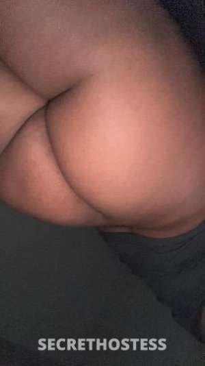 hi papi thick nasty wet babe gfe bbj in Brockton MA