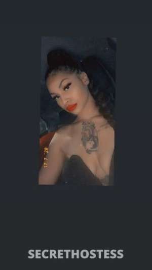 25 year old American Escort in Spokane WA come see whats in the honeypot