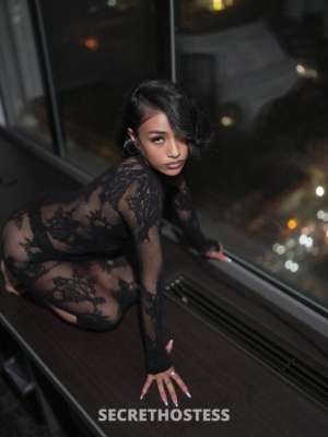 Your New Favorite Upscale Companion in Washington D.C. DC