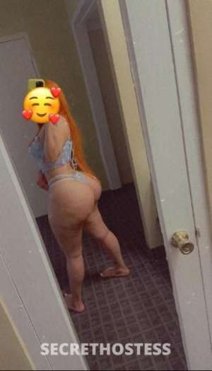 24 year old Latino Escort in Albany NY available