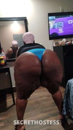 44Yrs Old Escort Houston TX Image - 2