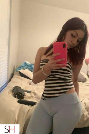 Will suck your dick till you cum all over my breast and face in North Bay