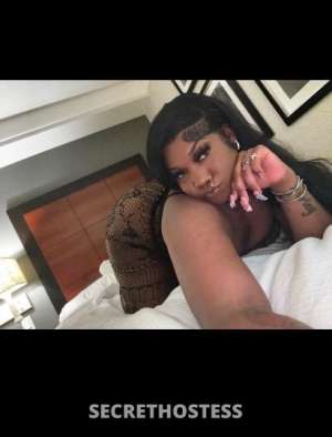 STAR 23Yrs Old Escort San Antonio TX Image - 4