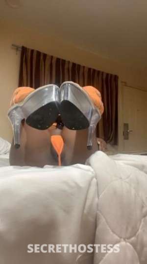 Angel 24Yrs Old Escort Image - 3