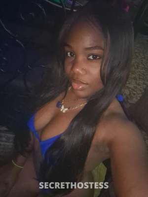 28 year old Escort in Tampa FL Michelle 28Yrs Old Escort Tampa FL