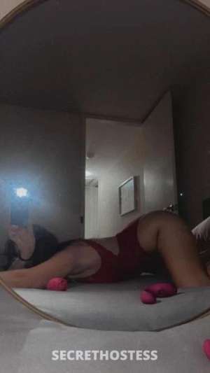 24 year old Escort in Tamworth 24 yr old brunette OUTCALLS ONLY, Tamworth