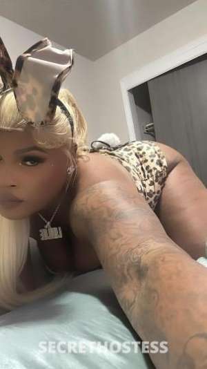 28 year old Escort in Des Moines IA Thick NEW BOOBS LETS CUM