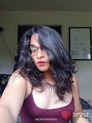 Lola - slim, brown gfe pup in New Brunswick NJ