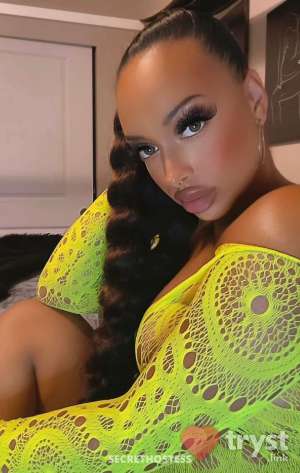Arimariee - Petite Cuban Mix in Tacoma WA