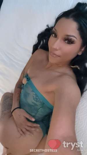20Yrs Old Escort 163CM Tall San Jose CA Image - 1
