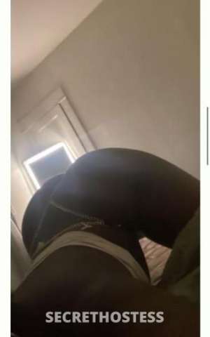 Morgan 26Yrs Old Escort Cincinnati OH Image - 2