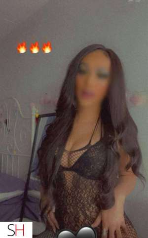 26 year old Escort in Kitchener All Natural Beauy Ready To Play